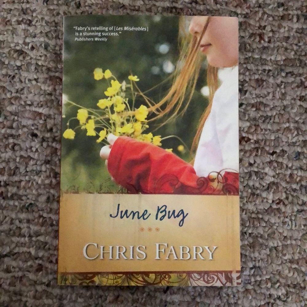 June Bug by Chris Fabry